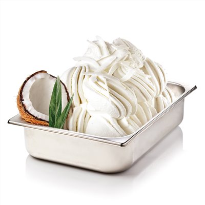 371-TW  椰子風味醬-(Sorbet, Gelato)